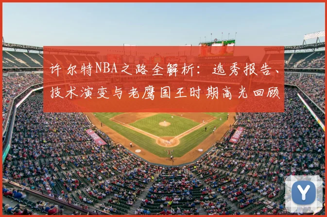 许尔特NBA之路全解析：选秀报告、技术演变与老鹰国王时期高光回顾